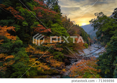 Autumn leaves scenery of Kazura Bridge at Iya Autumn leaves scenery of Kazura Bridge at Iya 71369898