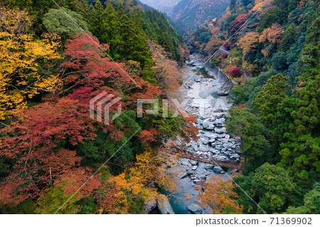 秋葉谷居橋風光 秋葉谷居橋風光 71369902