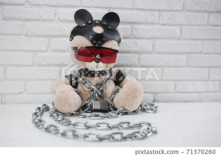 toy bear dressed in leather straps harness accessory for BDSM chained with a lock 71370260