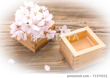 Cherry blossoms and sake, oval blur Cherry blossoms and sake, oval blur 71374331