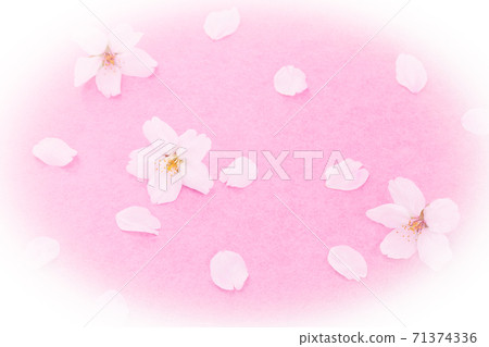 Sakura petals oval blur 71374336