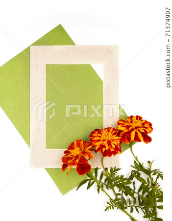 Yellow red orange autumn fall marigold calendula flowers, natural beige yellow frame and green paper on white background. Border photo with free blank copy space for text Yellow red orange autumn fall marigold calendula flowers, natural beige yellow frame and green paper on white background. Border photo with free blank copy space for text 71374907
