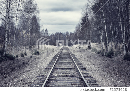 Single railway line in the autumn forest. 71375628