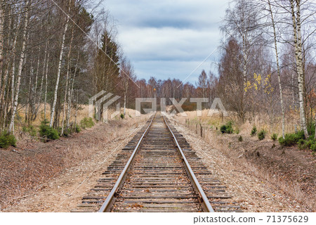 Single railway line in the autumn forest. 71375629