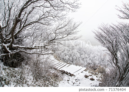 Kuju山雪風景 71376404