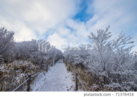 Kuju山雪風景 71376458