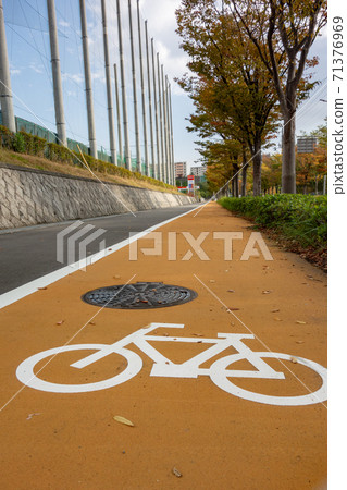 A promenade of autumn leaves 71376969