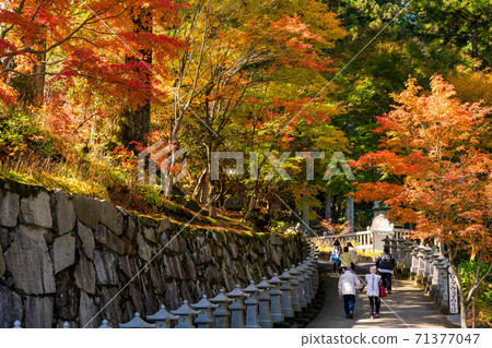 Unzenji Temple in autumn 71377047