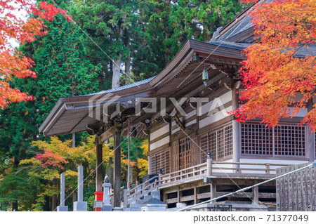 雲仙寺在秋天 71377049
