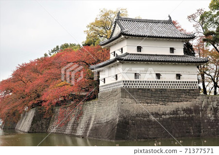 新潟縣新大城市秋季 新潟縣新大城市秋季 71377571