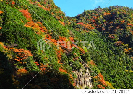 Autumn leaves of Kochi-dani in Nabari 71378105