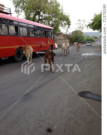 Townscape around Ajanta Ruins in India 5 71378190