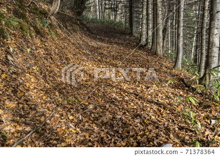 Mountain road Mountain road 71378364