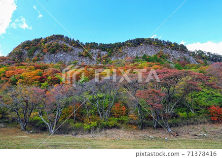 Autumn leaves of Byobuiwa Koen in Soni Village Autumn leaves of Byobuiwa Koen in Soni Village 71378416