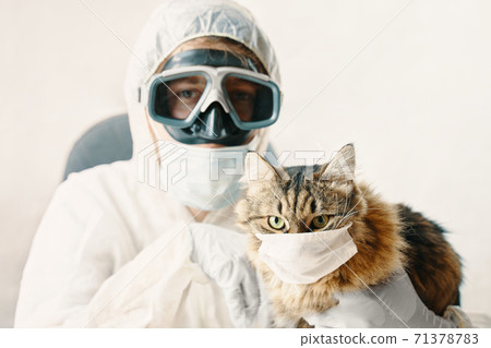 Man in suit and cat in a medical mask Man in suit and cat in a medical mask 71378783