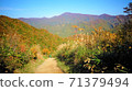 Edaori Pass Autumn leaves 71379494