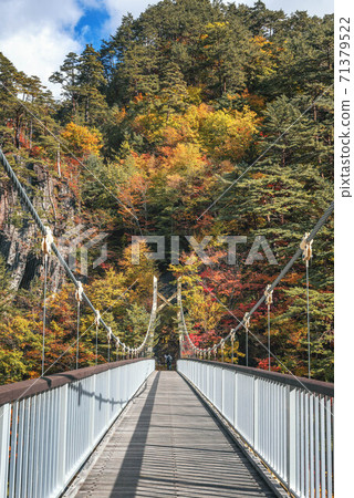 Kawamata Dam, Setoaikyo (Watarirasshaitsuri Bridge) colored with autumn leaves Kawamata Dam, Setoaikyo (Watarirasshaitsuri Bridge) colored with autumn leaves 71379522