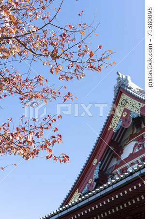Autumn leaves of Sensoji Temple in Tokyo and the roof of the main hall 71380098