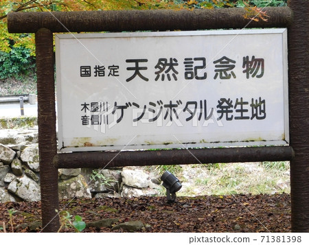 源氏螢火蟲的源頭大寧寺河 源氏螢火蟲的源頭大寧寺河 71381398
