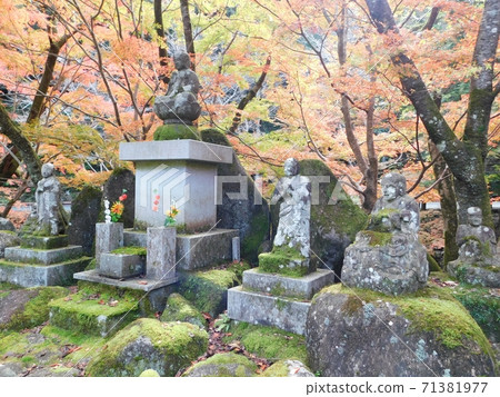 Shakyamuni statue and 16 Rakan in the precincts of Taineiji Temple 71381977