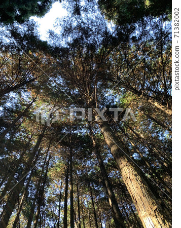 地球的氣息 地球的氣息 71382002