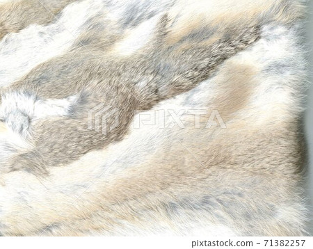 Fur texture Fur texture 71382257