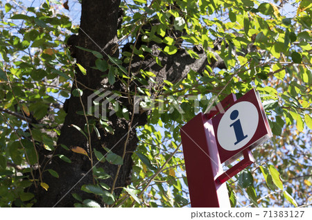 城市中的“ I”標記(區域圖) 城市中的“ I”標記(區域圖) 71383127