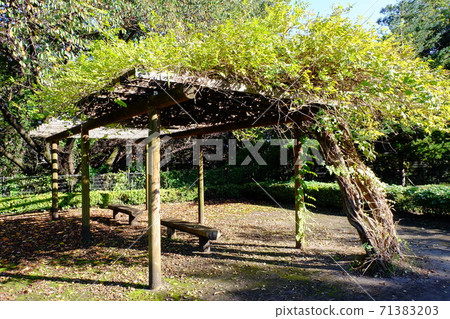 Park bench and pergola 71383203