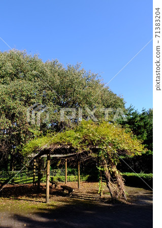 Park bench and pergola 71383204