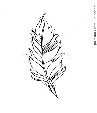 Feather isolated on white background. Vector illustration. Black Lined drawing Feather isolated on white background. Vector illustration. Black Lined drawing 71383538