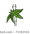 Doodle Tropical flower isolated on White background. Hand drawn Vector illustration. Floral Design element 71383581