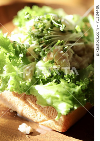 Lettuce, sprouts and chicken toast arrangement 71384486