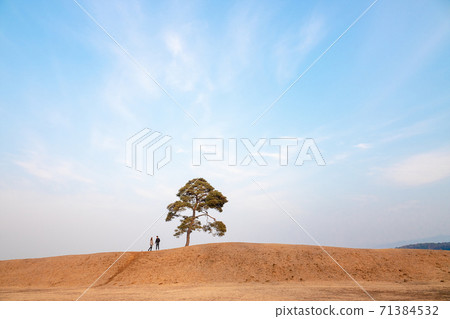 忠北都城 忠北都城 71384532