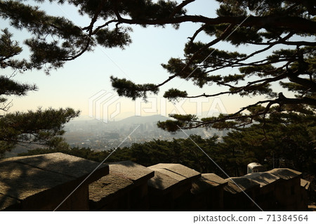首都，純城路，城牆，秋葉，松樹，北嶽山 71384564