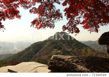 首都，純城路，城牆，秋葉，松樹，北嶽山 71384584