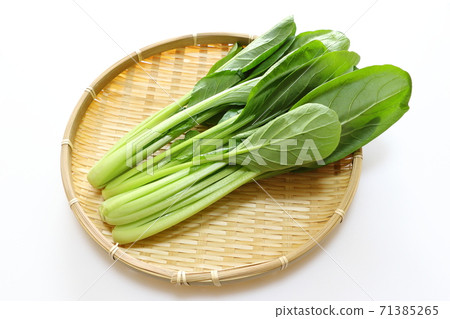 Komatsuna Komatsuna 71385265