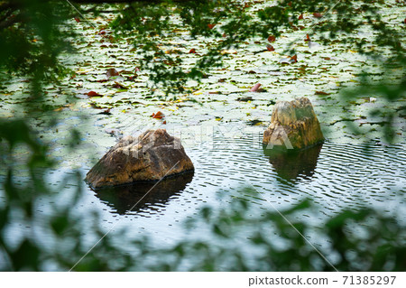 濕潤的石塘源園 濕潤的石塘源園 71385297