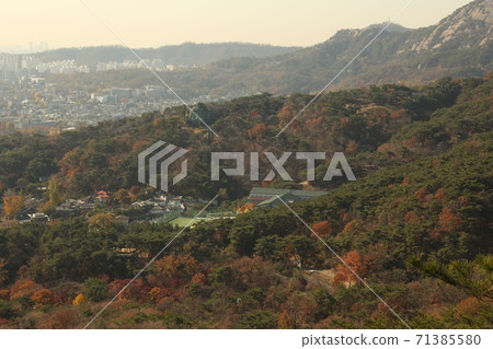 大城,孫成吉,楓樹,秋季,城牆,城北洞 大城,孫成吉,楓樹,秋季,城牆,城北洞 71385580