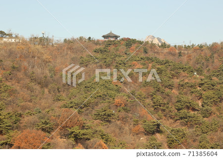 大城，孫成吉，楓樹，秋季，城牆，城北洞 71385604