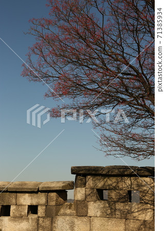 布卡克山，布漢山，波昂山，貝加克山，秋葉山 71385934