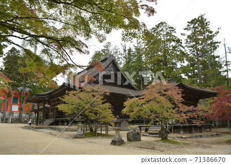 [和歌山縣]世界遺產，富士山 71386670