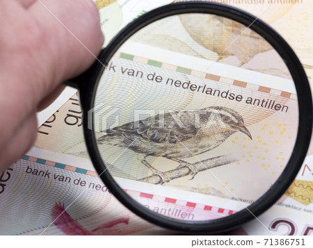 Netherlands Antilles Gulden in a magnifying glass Netherlands Antilles Gulden in a magnifying glass 71386751