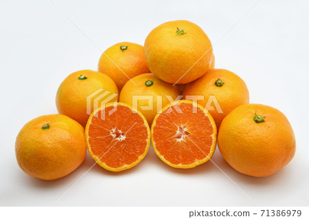 Mandarin orange (Yura early life) 71386979