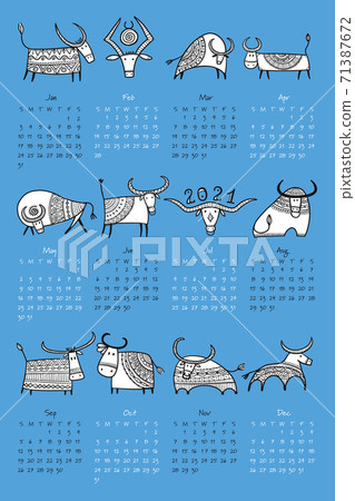 Funny bulls calendar design. Symbol of new year 2021. Bull, ox, cow Funny bulls calendar design. Symbol of new year 2021. Bull, ox, cow 71387672