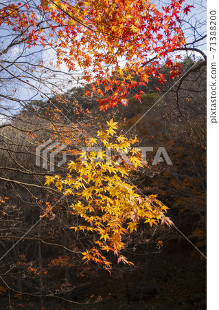 Kangchunsan, Sunchang-gun, Jeonbuk 71388200