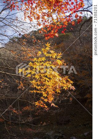 Kangchunsan, Sunchang-gun, Jeonbuk 71388201