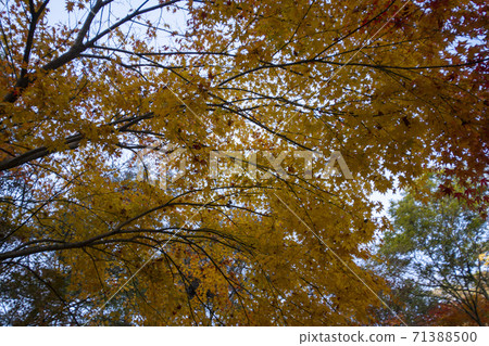 Kangchunsan, Sunchang-gun, Jeonbuk 71388500