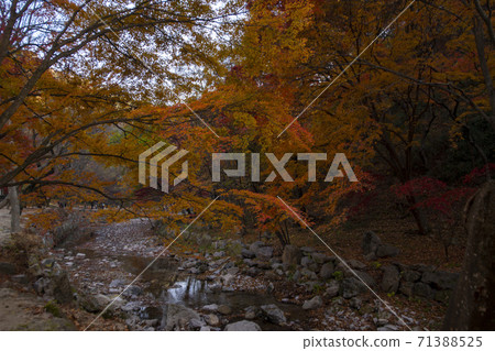 Kangchunsan, Sunchang-gun, Jeonbuk Kangchunsan, Sunchang-gun, Jeonbuk 71388525