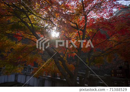 Kangchunsan, Sunchang-gun, Jeonbuk 71388529