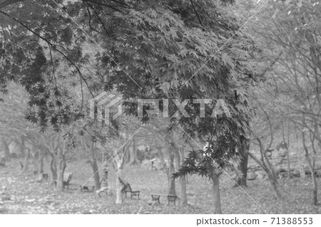 Kangchunsan, Sunchang-gun, Jeonbuk Kangchunsan, Sunchang-gun, Jeonbuk 71388553